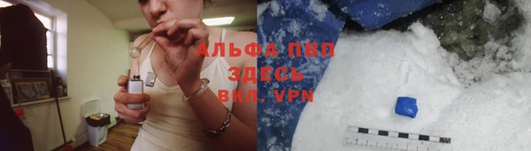 молекула духа Алексеевка