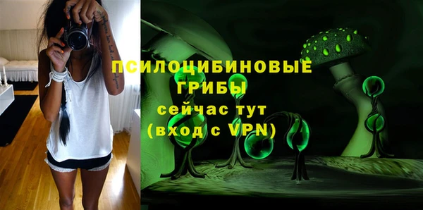 СК Абаза