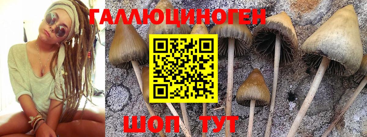 Дивногорск  Галлюциногенные грибы ЛСД  Вход с VPN 